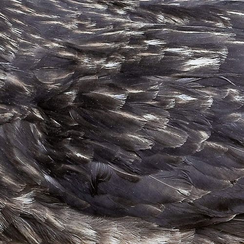 

Árstíðir [LP] - VINYL