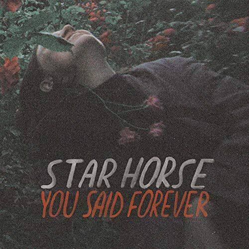 

You Said Forever [LP] - VINYL