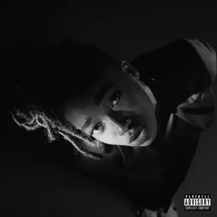 Front. Grey Area [LP].