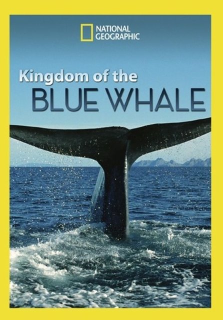 National Geographic: Kingdom of the Blue Whale [DVD] [2009] - Best Buy