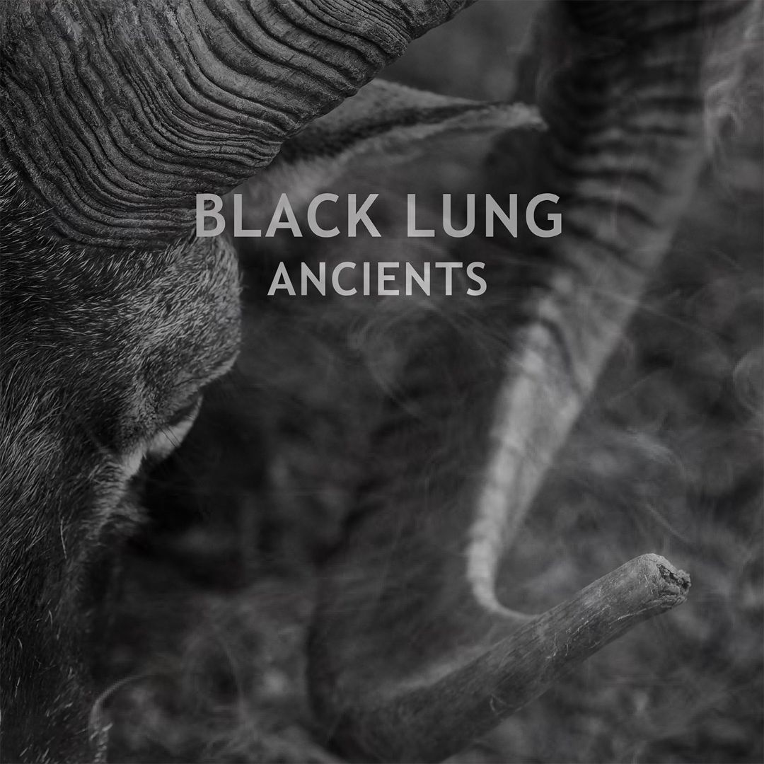 Ancients [CD]