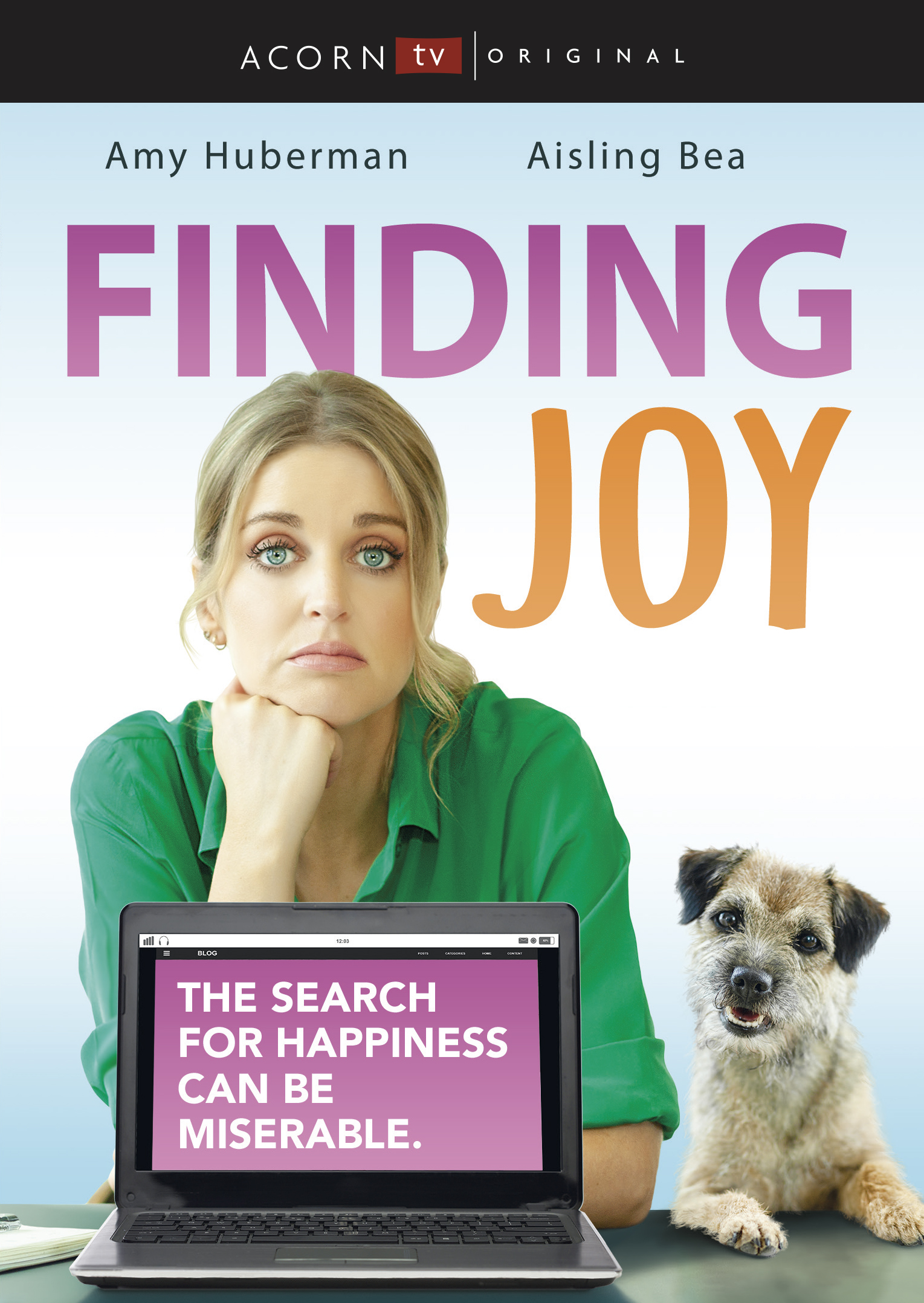 Finding Joy: Series [DVD
