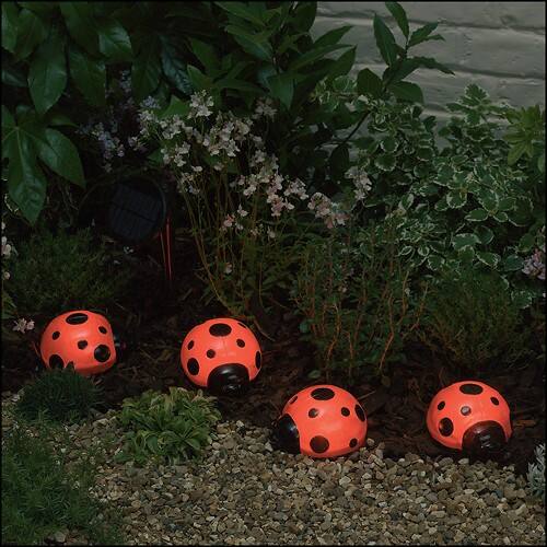 lady bug solar light