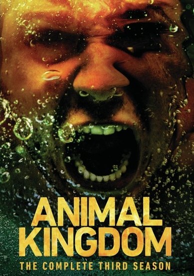 Animal Kingdom: The Complete Third Season - Best Buy