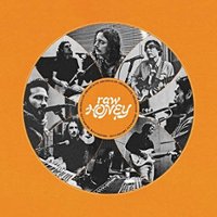 Raw Honey [LP] - VINYL - Front_Standard
