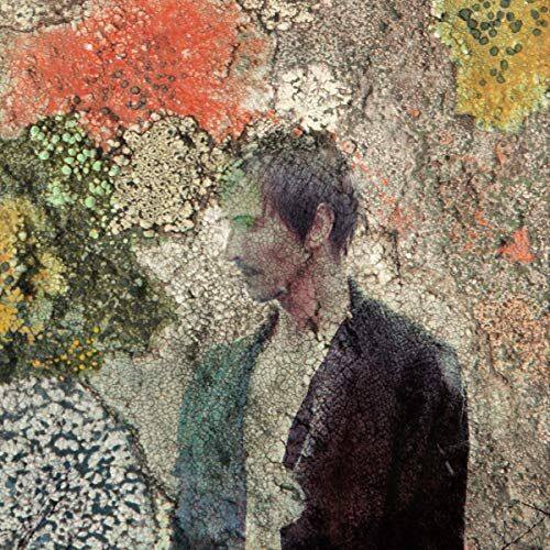 Intelligentle [LP] - VINYL