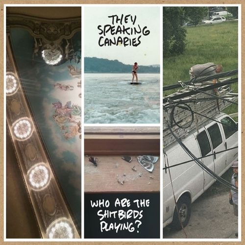 Who Are the Shitbirds Playing? [LP] - VINYL