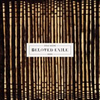 Beloved Exile [LP] - VINYL - Front_Standard