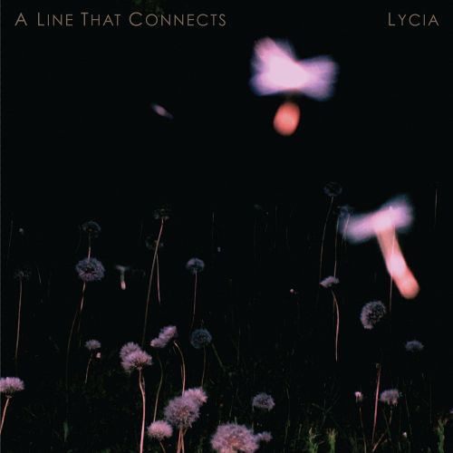 

A Line That Connects [LP] - VINYL