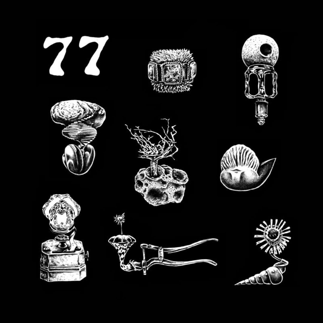 77: A Brief Landing on the Earth's Surface [LP] - VINYL