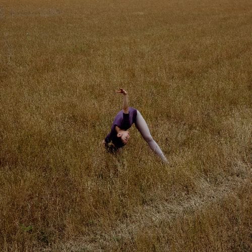 Best Buy: Kuro LP VINYL