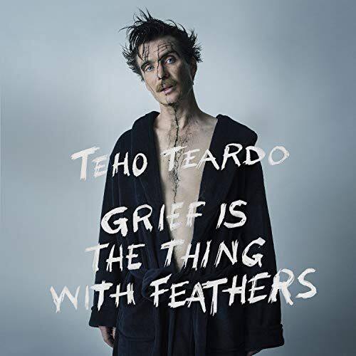 

Grief Is the Thing with Feathers [LP] - VINYL