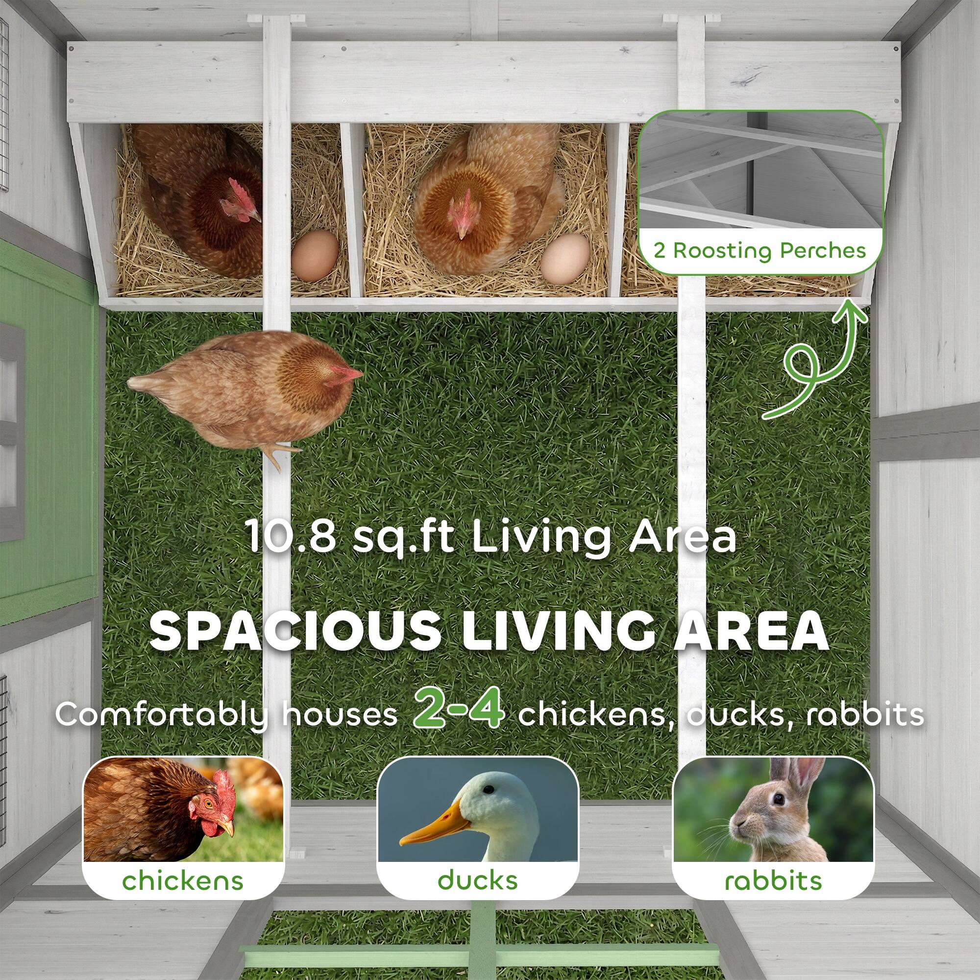 2 Roosting Perches  
10.8 sq.ft Living Area  
SPACIOUS LIVING AREA  
Comfortably houses 2-4 chickens, ducks, rabbits