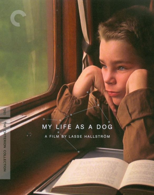 

My Life as a Dog [Criterion Collection] [Blu-ray] [1985]