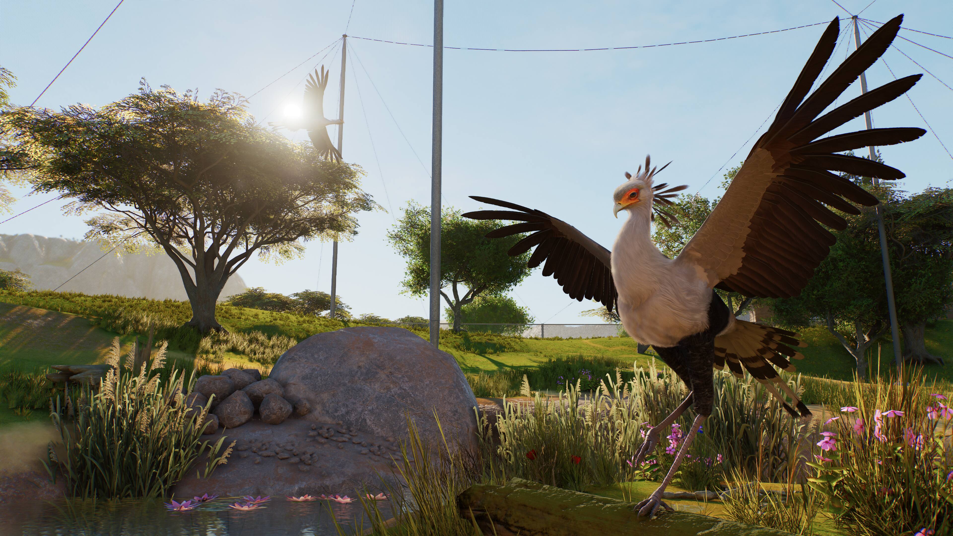 Back. Fireshine Games - Planet Zoo 2.