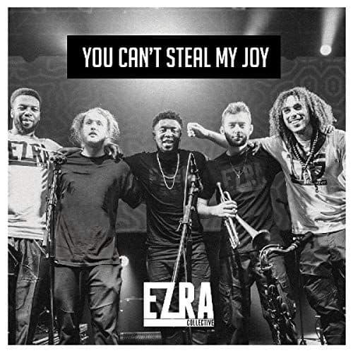 

You Can't Steal My Joy [LP] - VINYL