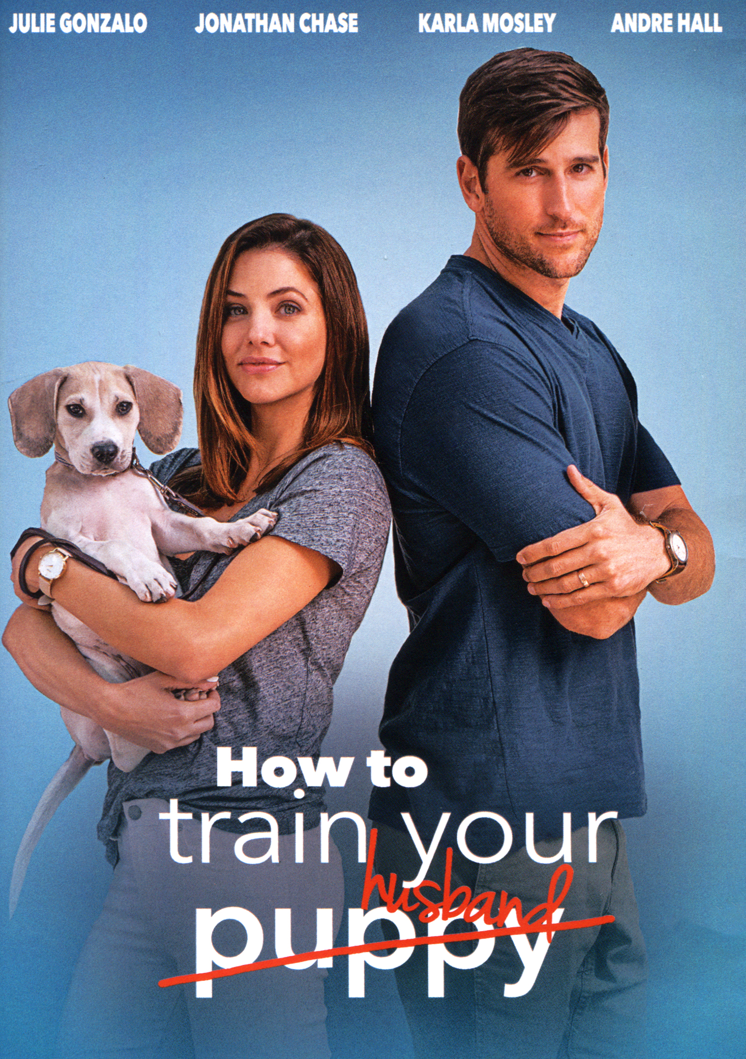 Best Buy  How to Train Your Husband [DVD] [2018]