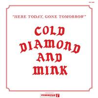 Here Today Gone Tomorrow Song Meaning Best Buy Here Today Gone Tomorrow Song Meaning Best Buy