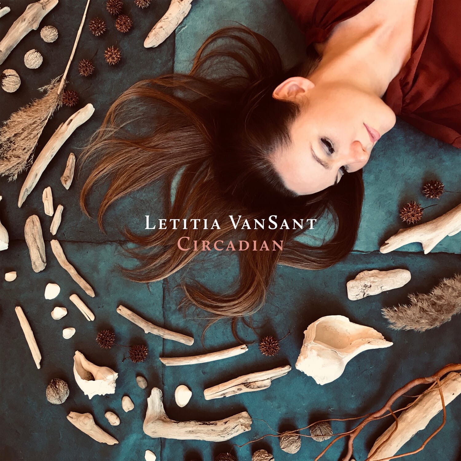 Letitia Vansant - Circadian   - COMPACT DISCS [CD] price history on PriceWatchPro