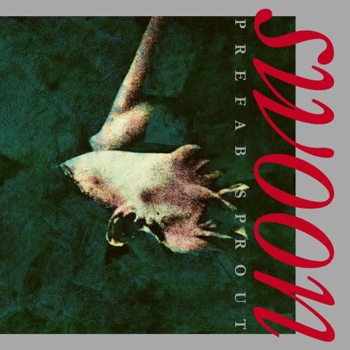 

Swoon [LP] - VINYL