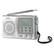 Alt View Standard 20. Coby - World Band Radio - Silver.