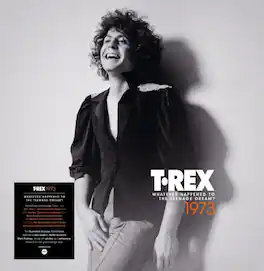 T. Rex - Whatever Happened To The Teenage Dream - 140-Gram Orange Colored Vinyl 5LP Boxset - VINYL LP