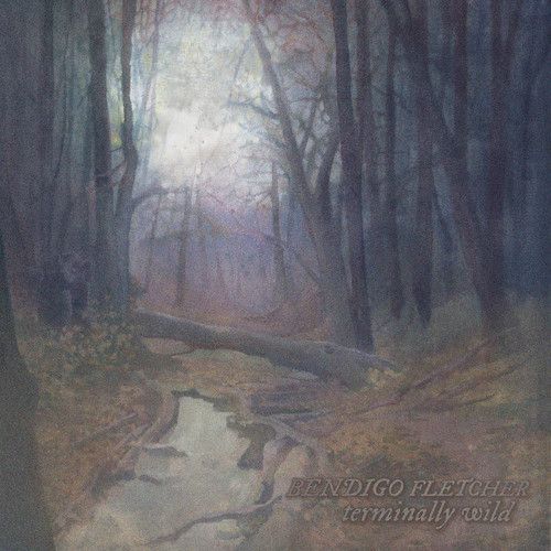Terminally Wild/Sleeping Pad [LP] - VINYL