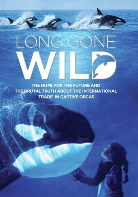 Long Gone Wild [DVD] [2019] - Best Buy