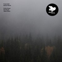 Border Woods [LP] - VINYL - Front_Standard