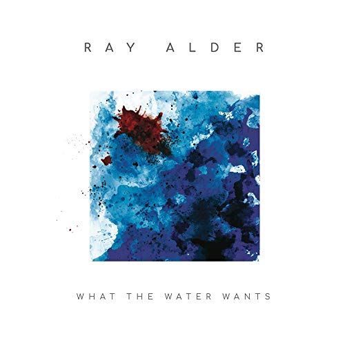 What the Water Wants [LP/CD] [LP] - VINYL