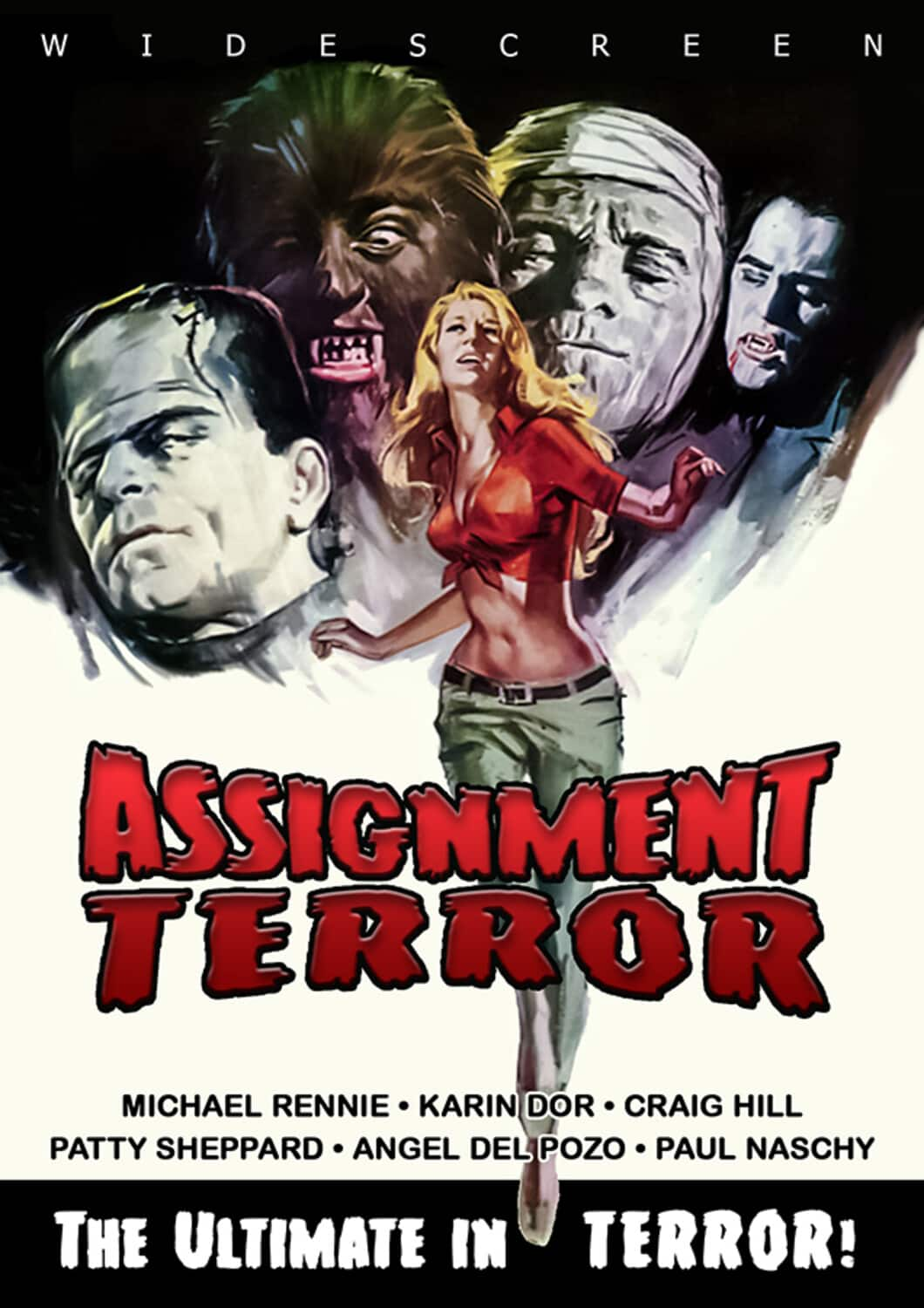 assignment terror dvd