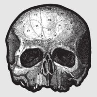 Black Pearl [Die Cut Skull Pic Disc] [Picture Disc] - Front_Original