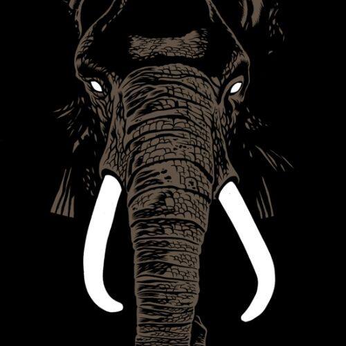 Don't Buy Ivory Anymore [Deluxe] [LP] - VINYL