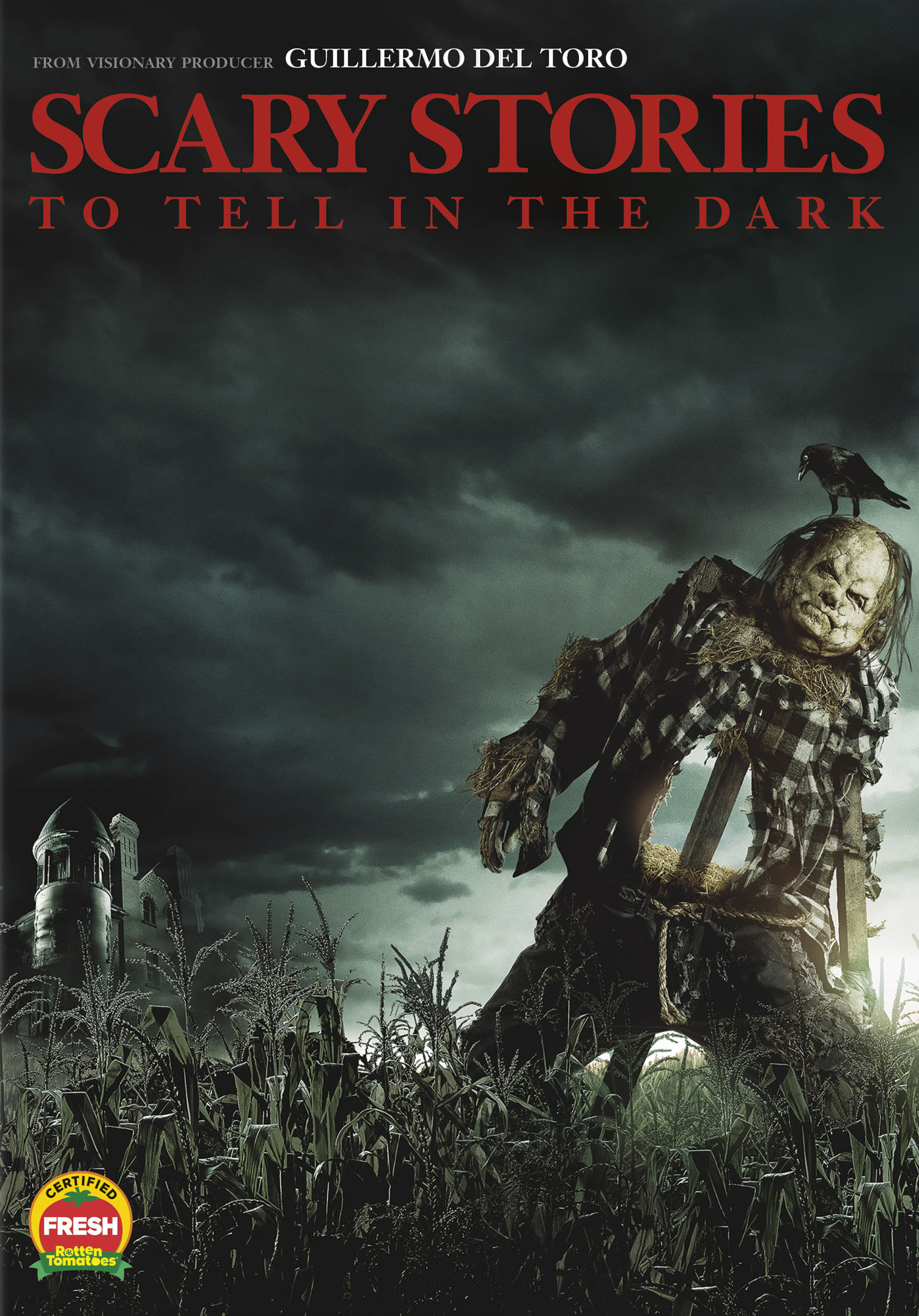 Scary Stories To Tell In The Dark Dvd 2019 Best Buy