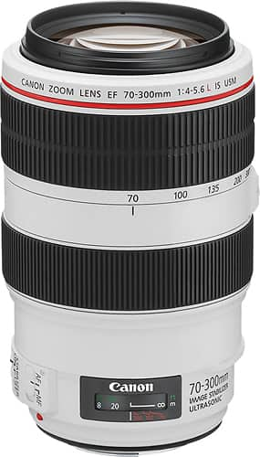 Best Buy: Canon EF 70–300mm f/4–5.6L IS USM Telephoto Zoom Lens White  4426B002