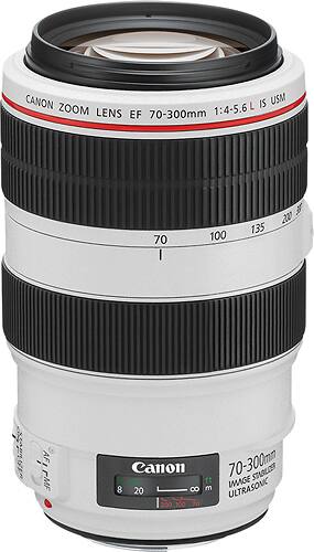 Canon Ef 70 300mm F 4 5 6l Is Usm Telephoto Zoom Lens White 4426b002 Best Buy