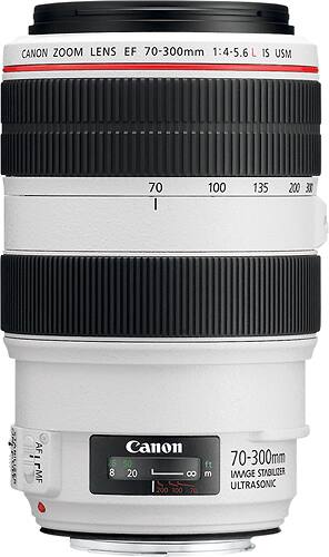 Best Buy: Canon EF 70–300mm f/4–5.6L IS USM Telephoto Zoom Lens White  4426B002