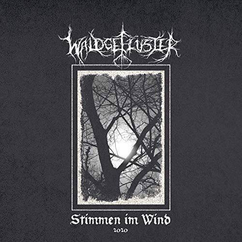 Best Buy: Stimmen Im Wind 2020 [LP/CD] [LP] VINYL