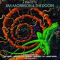 Front Standard. A  Tribute to Jim Morrison & the Doors [LP] - VINYL.