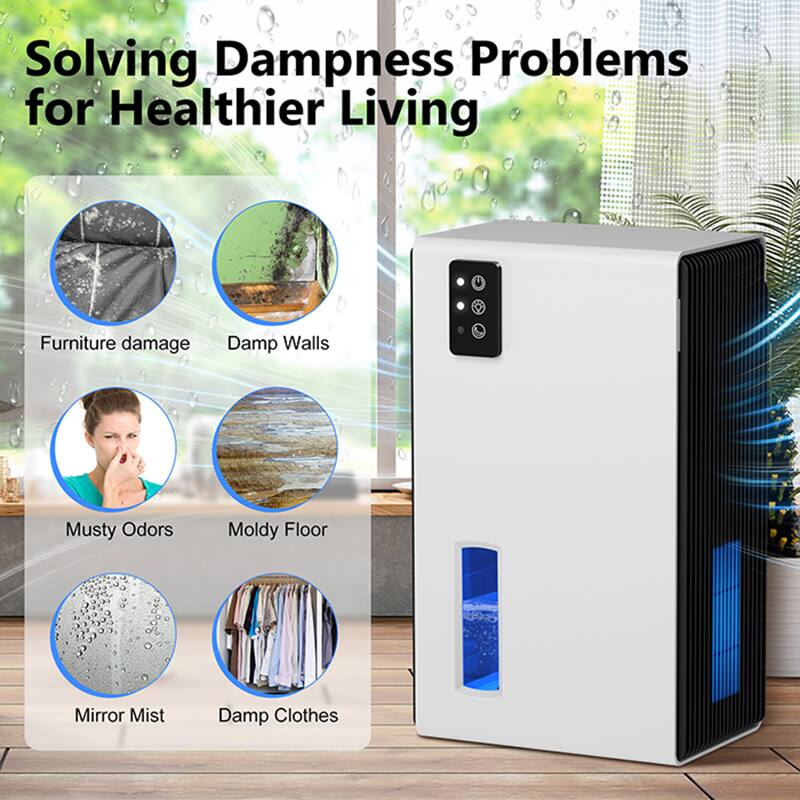 Solving Dampness Problems for Healthier Living

- Furniture damage
- Damp Walls
- Musty Odors
- Moldy Floor
- Mirror Mist
- Damp Clothes