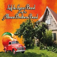 Plays the Allman Brothers Band [LP] - VINYL - Front_Standard