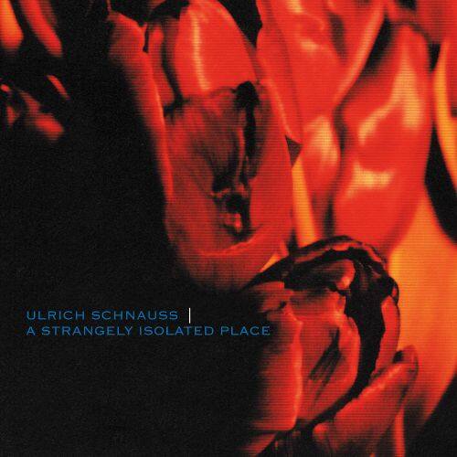 Strangely Isolated Place [LP] - VINYL
