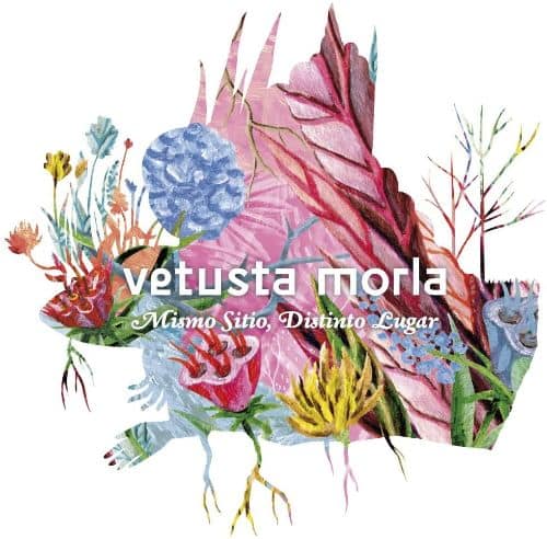 

Mismo Sitio, Distinto Lugar [LP] - VINYL