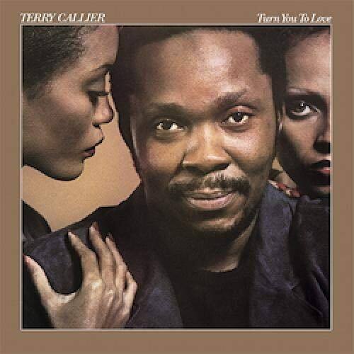 

Turn You to Love [LP] - VINYL