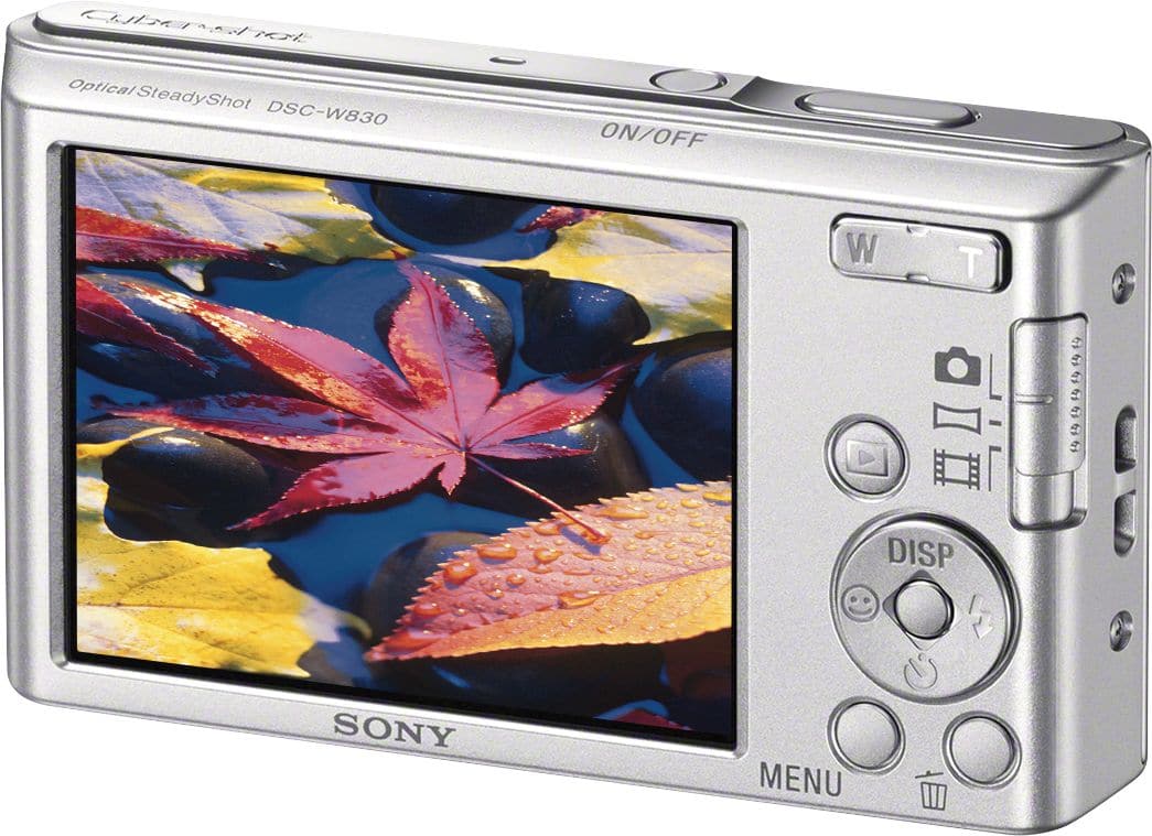 Sony Cyber-Shot DSC-W830 20.1MP Digital Camera - Silver