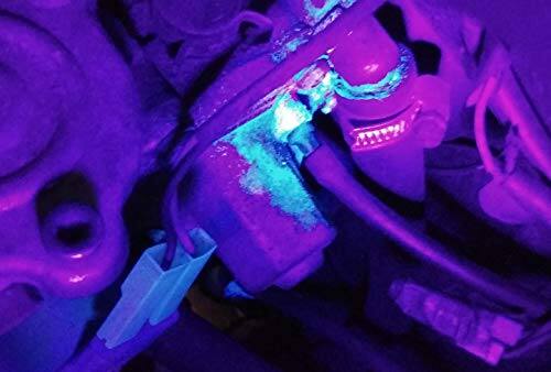 Back. HQRP - 365 nm UV Blacklight Flashlight 12 LED Aluminum Water-Resistant Leak, Pet Urine, Currency Detection.