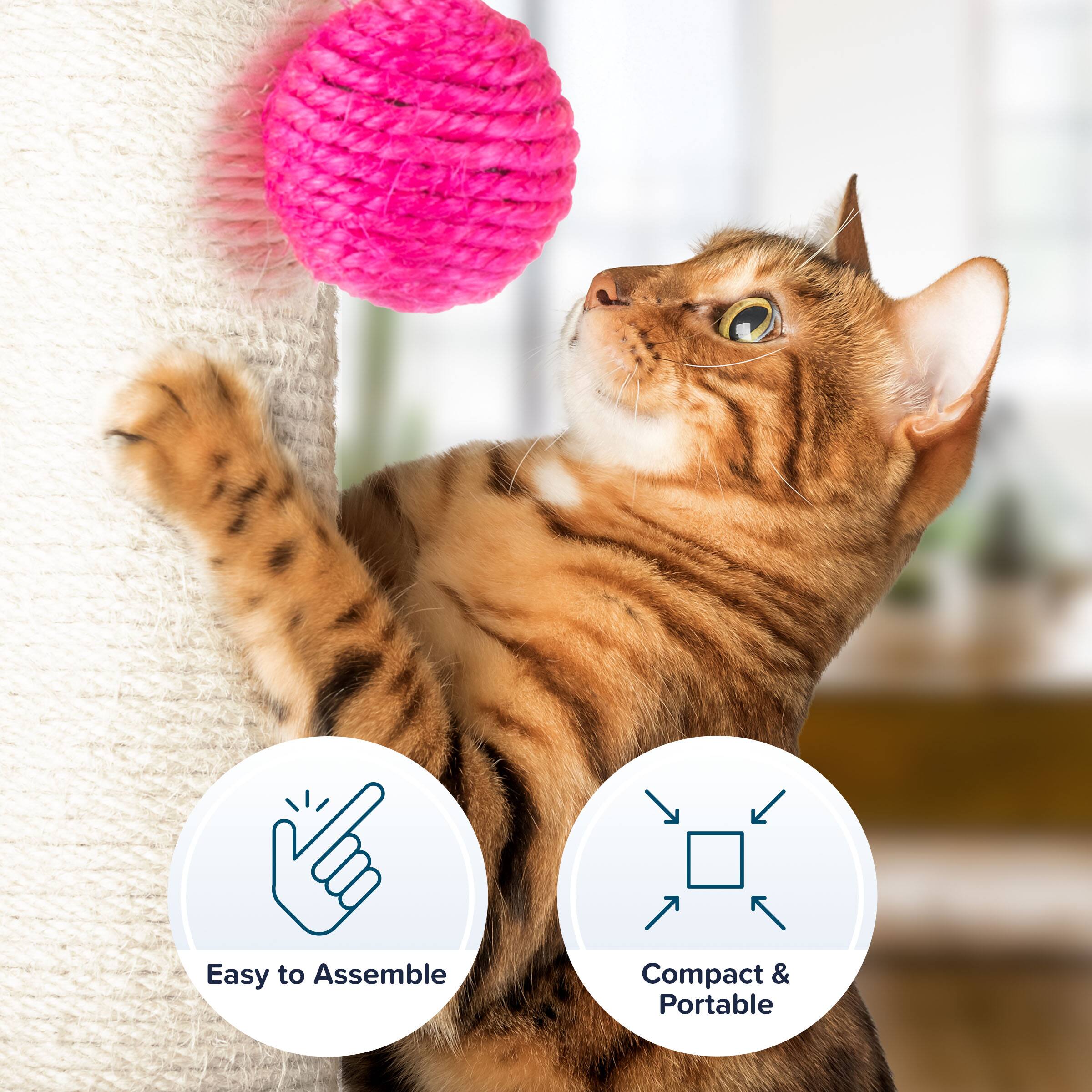 Easy to Assemble  
Compact & Portable