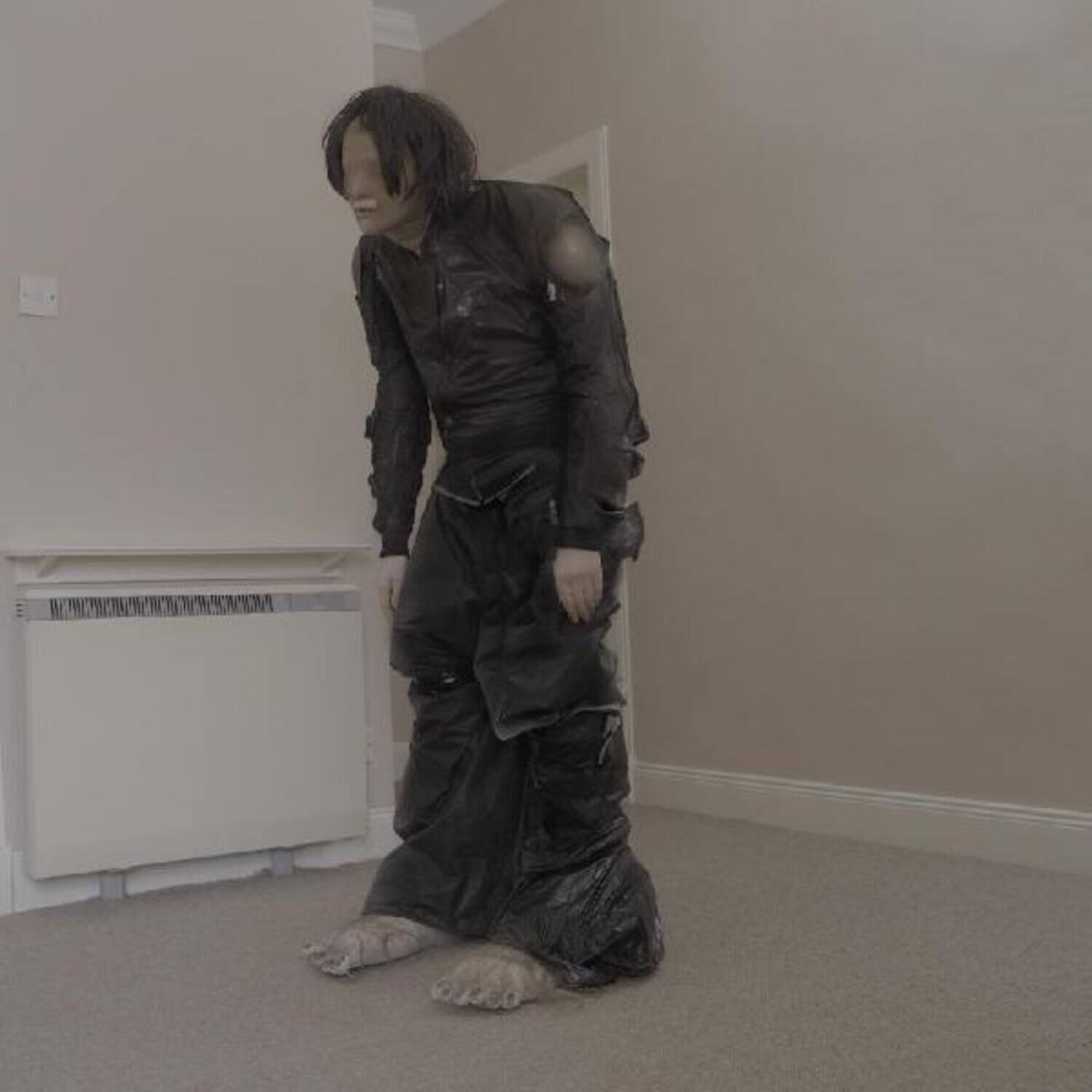 Front. El Perro del Mar - Big Anonymous   - VINYL LP.