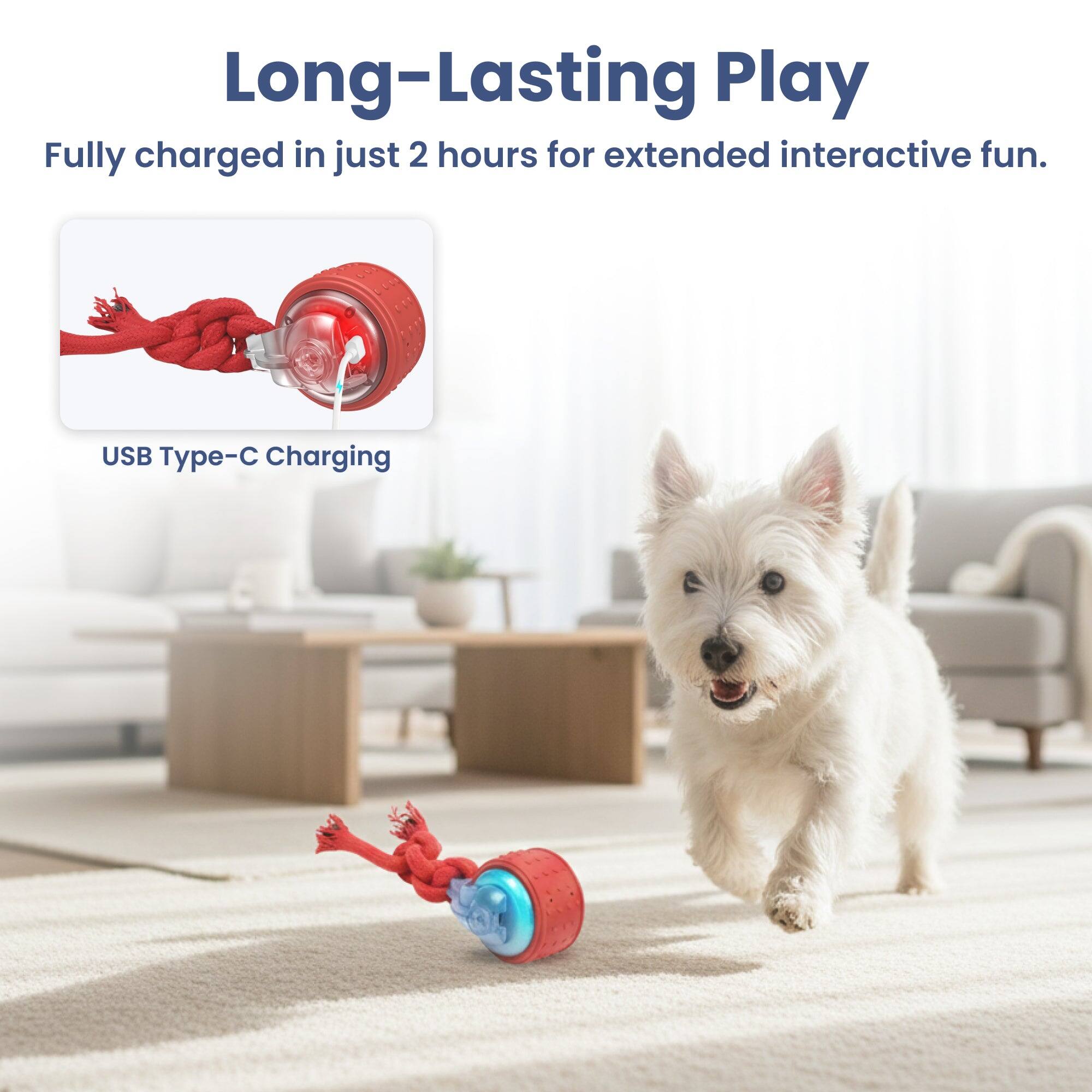 Long-Lasting Play  
Fully charged in just 2 hours for extended interactive fun.  
USB Type-C Charging