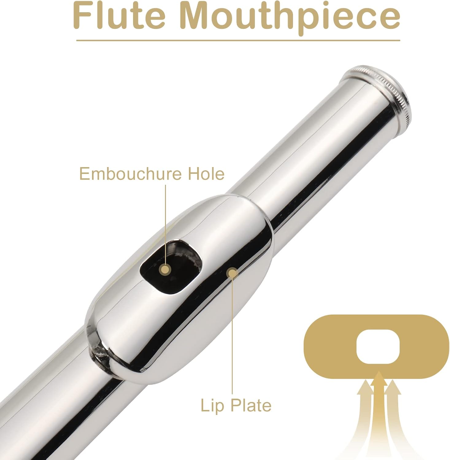 Flute Mouthpiece

Embouchure Hole

Lip Plate